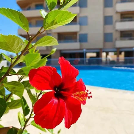 Apartment Consolat Del Mar Denia